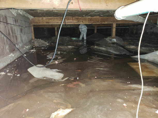 Best Odor Removal and Sanitization After Water Damage in Morristown, TN